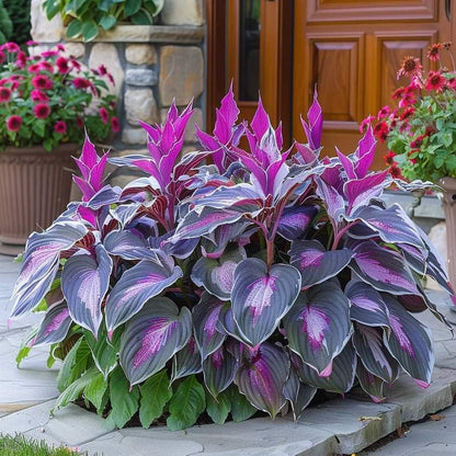 Summer Promotion 49% OFF - 🌱 - 🍃Rare Hosta Seeds🌿