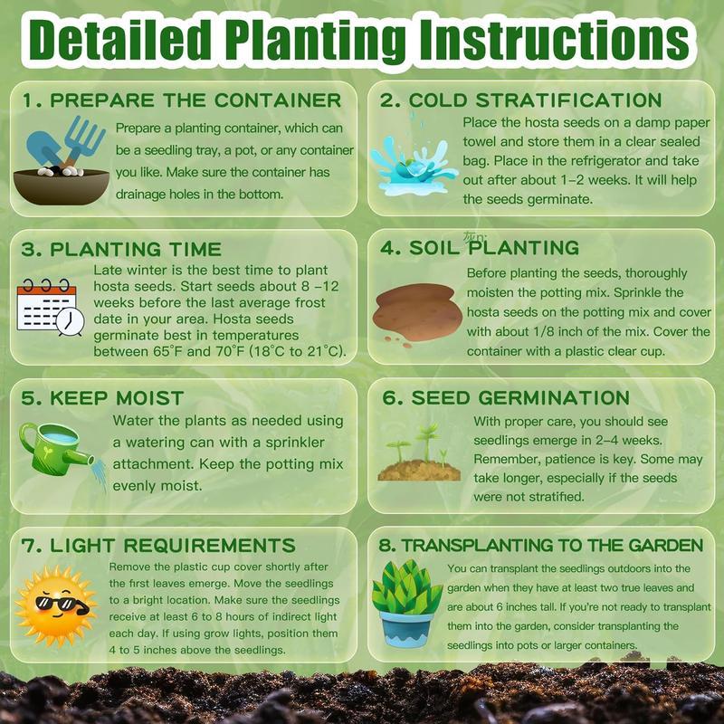 🌸 Rare Hosta Flower Seeds 🌿 | Unique Garden Beauty ✨